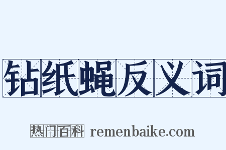 钻纸蝇反义词是什么意思的图片